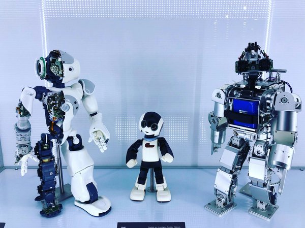 Découvrir les secrets fascinants de l'animation robotique